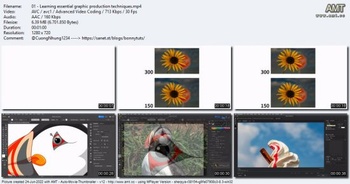 Linkedin Essential Graphic Production Techniques