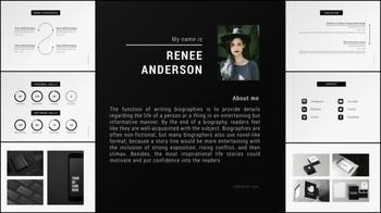 DesignOptimal Videohive Portfolio CV 23712563