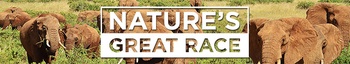 Natures Great Race S01 COMPLETE 720p AMZN WEBRip x264 GalaxyTV