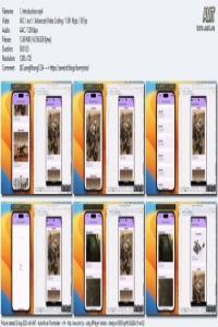 Google Flutter Dart build app for Android and iOS DevCourseWeb