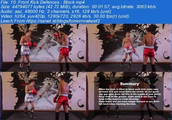 CoursePig Udemy The Ultimate Guide to Muay Thai Basics