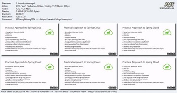 Udemy Practical Approach to Spring Cloud