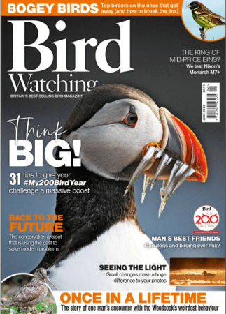 Bird Watching UK June 2022
