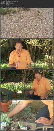 FreeCourseWeb Year Round Beauty Growing a Layered Garden