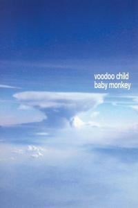 Moby Voodoo Child Baby Monkey 2004 Elettronica Flac 16 44