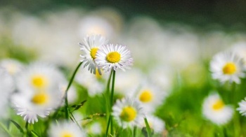 FreeCourseWeb Udemy Yoga Philosophy on Self Love