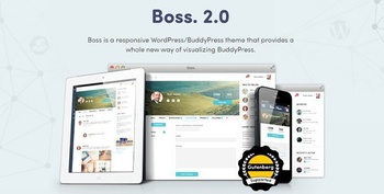 DesignOptimal BuddyBoss Boss v2 5 7 Responsive WordPress BuddyPress Theme