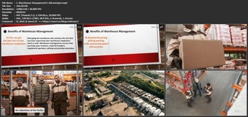 Udemy Warehouse Management System WMS Logistics and Supply Chain