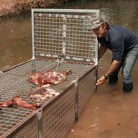 Monster Croc Wrangler Compilations S04E02 720p HDTV x264 CBFM TGx