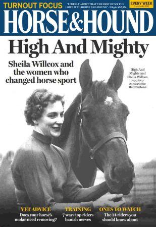 DevCourseWeb Horse Hound 07 January 2021