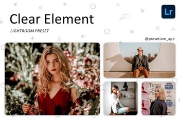 DesignOptimal CreativeMarket Clear Element Lightroom Presets 5223670