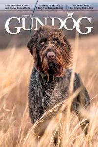 Gun Dog October 2023 CourseWikia