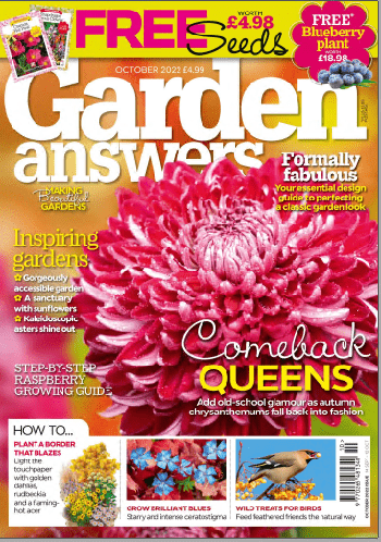 Garden Answers October 2022