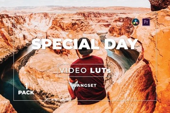 DesignOptimal Bangset Special Day Pack 1 Video LUTs