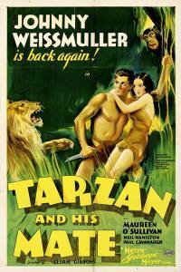 Tarzan And His Mate 1934 DVDRip 10Bit x256 JAWLESSEMU