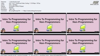 Udemy Programming for Non Programmers 2022
