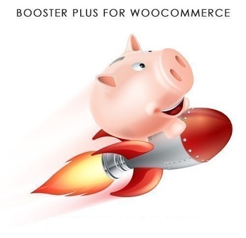 DesignOptimal Booster Plus for WooCommerce v4 9 0 NULLED