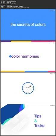 Skillshare Create amazing WordPress website with Divi theme