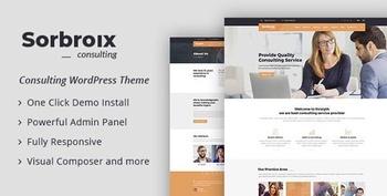 DesignOptimal ThemeForest Sorbroix v1 0 Business Consulting WordPress Theme Update 28 August 20 21200725