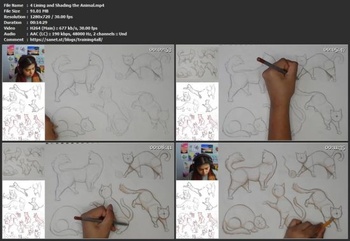 Skillshare Drawing Fundamentals How to Draw Cat Animal Poses