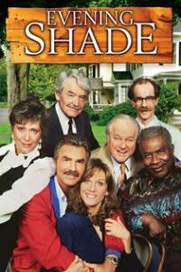 Evening Shade 1990 Complete Seasons 1 to 4 Mixed x264 i c