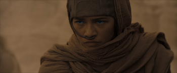 Dune MULTI 2021 1080p AMZN WEB DL DDP5 1 H 265 NbT