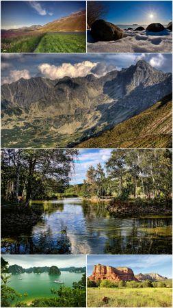 DesignOptimal Nature collection Part 106