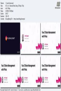 Vue 3 State Management with Pinia CourseWikia