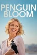 Penguin Bloom 2020 720p 10bit WEBRip 6CH x265 HEVC PSA