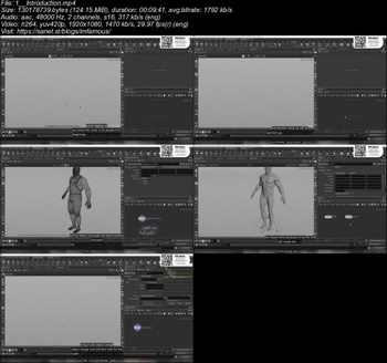 CG Circuit Rigging with KineFX