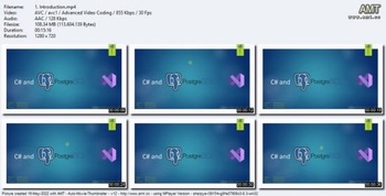 Udemy CRUD application using C PostgreSQL Windows Forms
