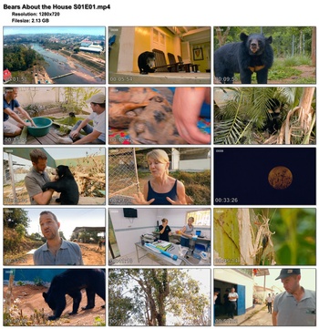 Bears About the House S01 complete 1280x720p HD 50fps soft Eng subs