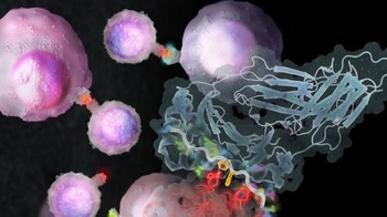 FreeCourseWeb Udemy Medical Immunology