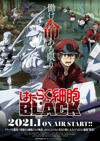 Cells At Work BLACK S01E03 07 ITA 1080p WEB DL x264 UBi