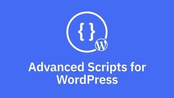 DesignOptimal Advanced Scripts v1 1 0 WordPress Plugin That Allow You To Create Custom Scripts And Styles