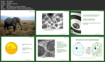 Udemy Introductory course in Biotechnology