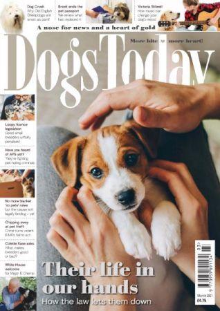 FreeCourseWeb Dogs Today UK March 2021