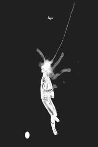 Sandwell District Feed Forward 2023 24Bit 44 1kHz FLAC PMEDIA