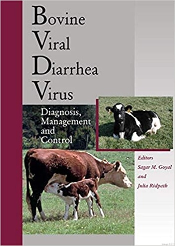 Bovine Viral Diarrhea Virus Diagnosis Management and Control