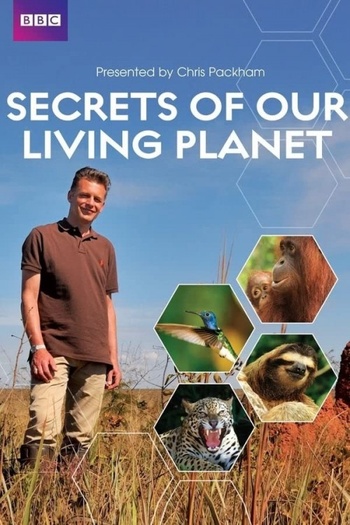 Secrets of Our Living Planet 2012 S01 720p 10bit WEBRip x265 budgetbits
