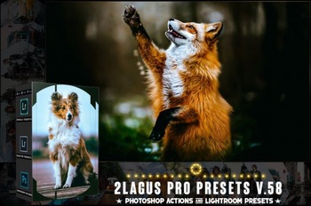 DesignOptimal PRO Presets V 58 Photoshop Lightroom