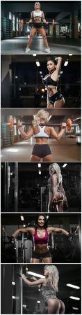 DesignOptimal Girls in the gym beauty and health