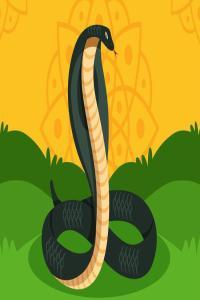 500 Python Exercises Practical Python Challenges 2023