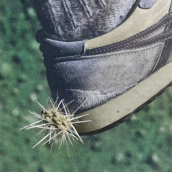 Ross from Friends Tread 2021 24Bit 44 1kHz FLAC PMEDIA