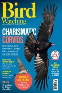 Bird Watching UK February 2024 DevCourseWeb