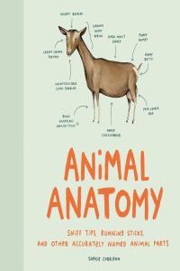 Animal Anatomy by Sophie Corrigan PDF