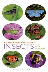 Bloomsbury Pocket Guide to Insects True PDF FreeCourseWeb