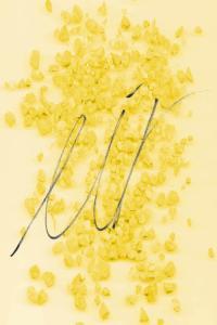 Anni Kiviniemi Trio Eir 2024 24Bit 48kHz FLAC PMEDIA