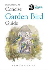 Concise Garden Bird Guide DevCourseWeb