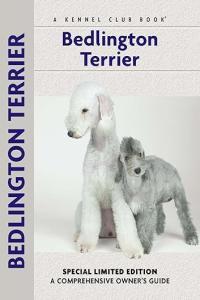 Bedlington Terrier DevCourseWeb